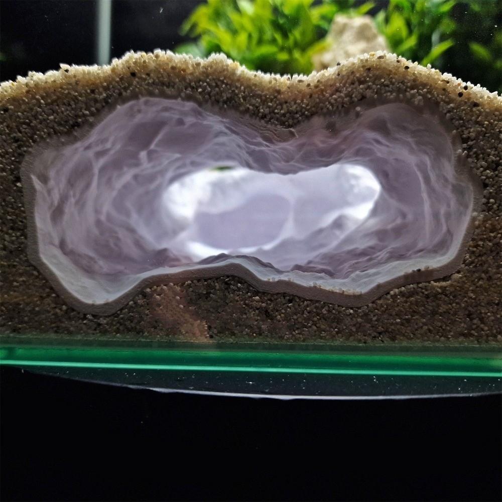 Aquarium Fish Reproduction - New Highly Simulated Aquarium Fish Tank