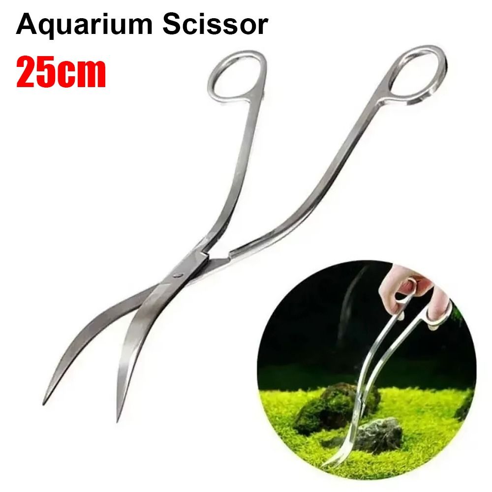 Aquarium Fish Maintenance - 1Pcs Stainless Steel Aquarium Scissor Straight