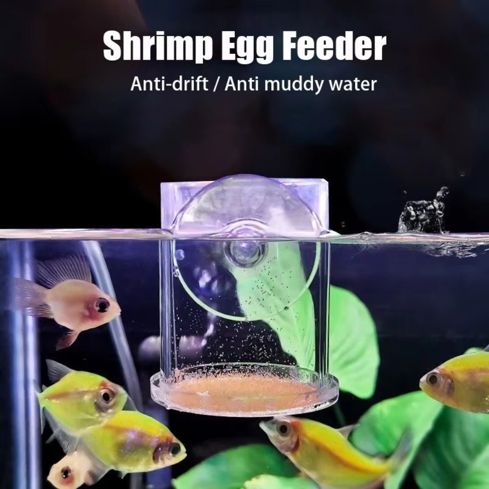 Aquarium Fish Eggs - Acrylic Brine Shrimp Feeder Fixed-Point with