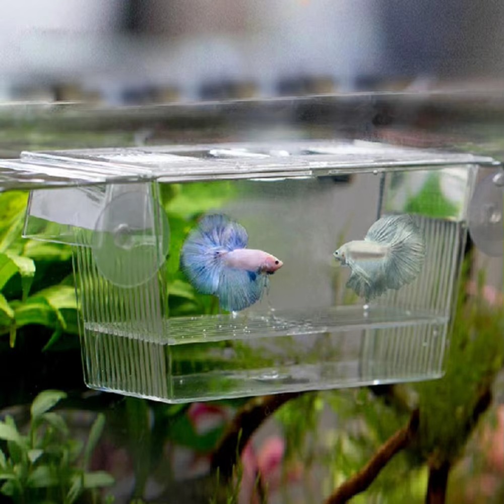 Aquarium Fish Reproduction - Creative Acrylic Fish Tank Breeding Incubator