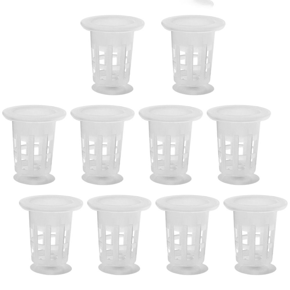 10Pcs Transparent Plant Hydrop - Aquarium Fish Hideout recension och pris