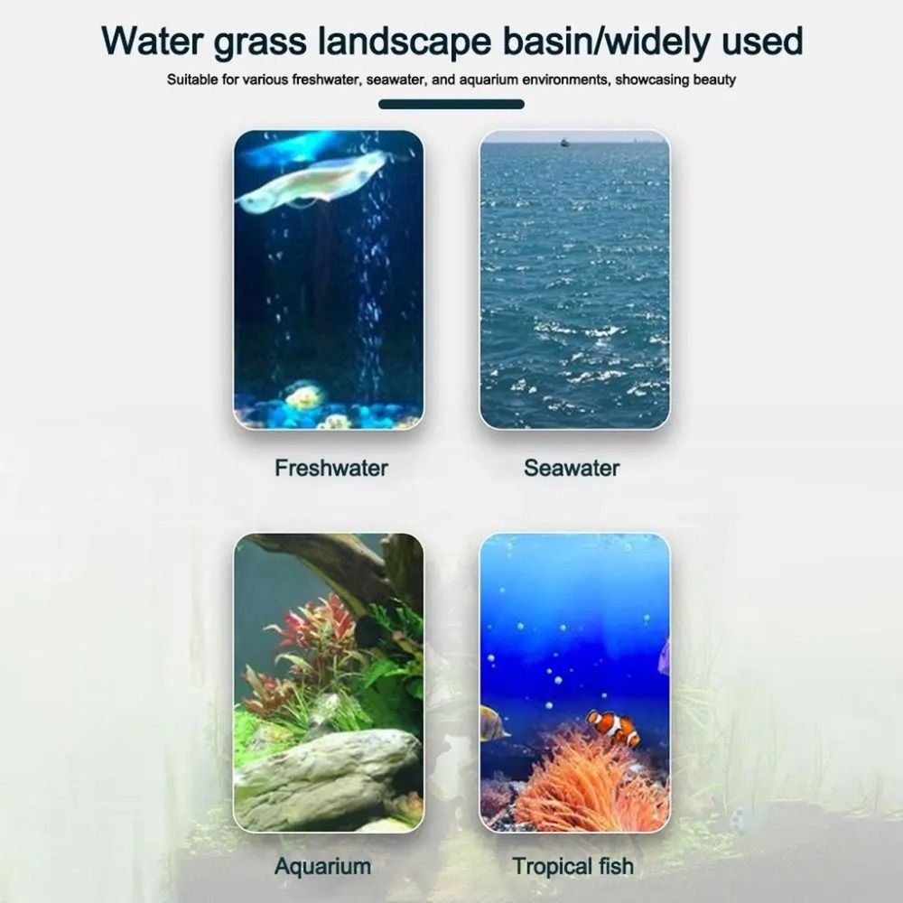 10Pcs Transparent Plant Hydrop - Aquarium Fish Hideout recension och pris