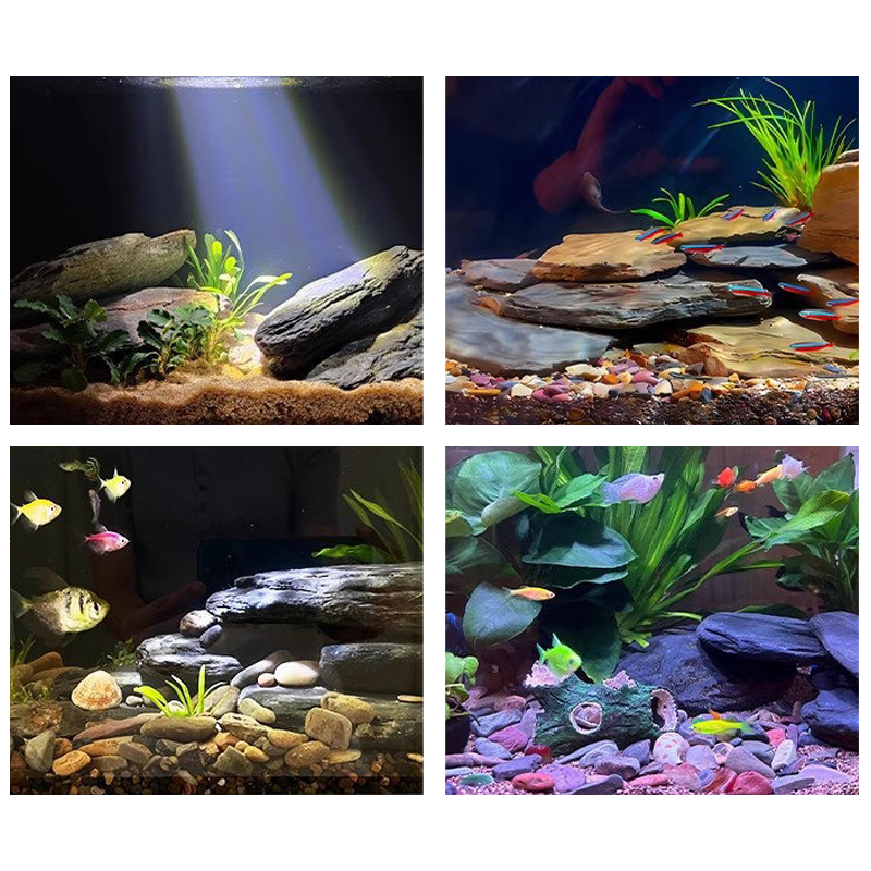500/1000g Fish Tank Landscape  - Aquarium Fish Land recension och pris