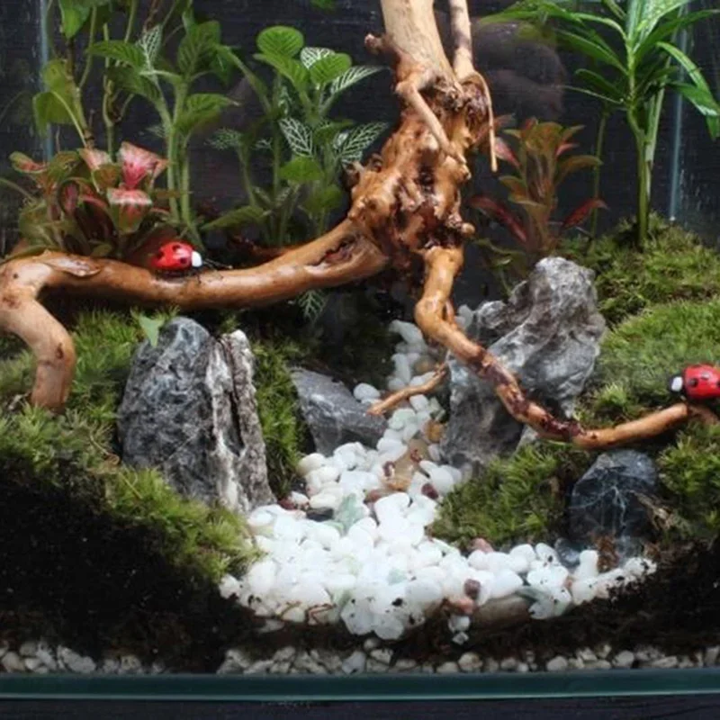Natural Tree Trunk Driftwood A - Aquarium Fish Hideout recension och pris