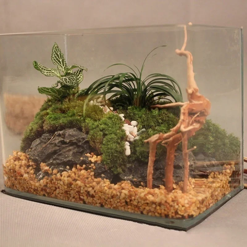 Natural Tree Trunk Driftwood A - Aquarium Fish Hideout recension och pris