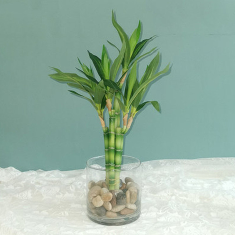 New 40cm Artificial Lucky Bamb - Aquarium Fish Land recension och pris