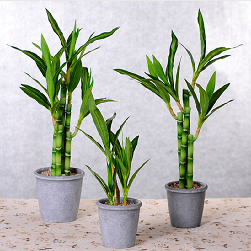 New 40cm Artificial Lucky Bamb - Aquarium Fish Land recension och pris
