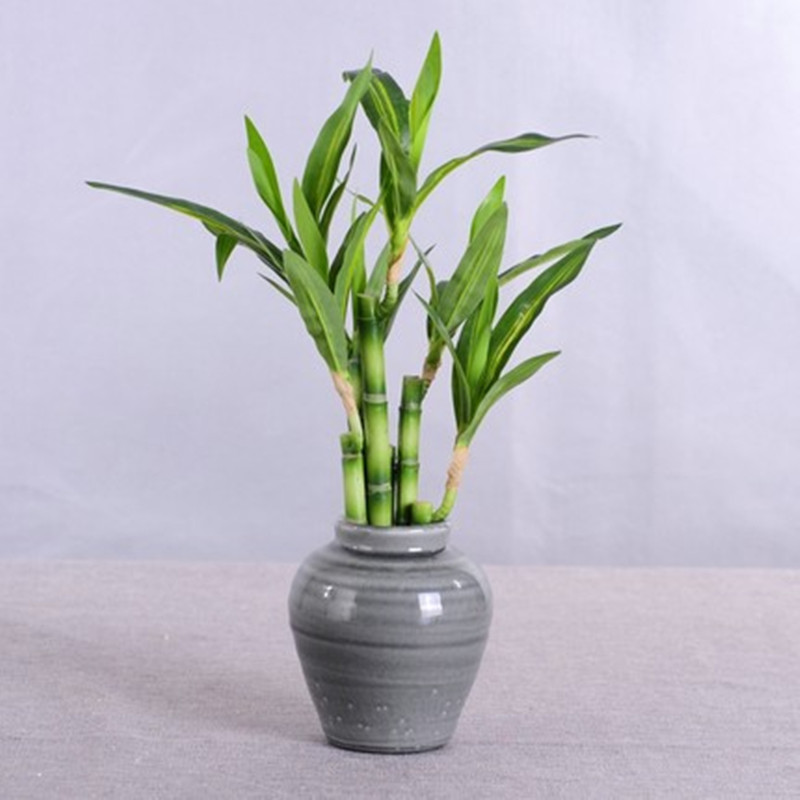 New 40cm Artificial Lucky Bamb - Aquarium Fish Land recension och pris