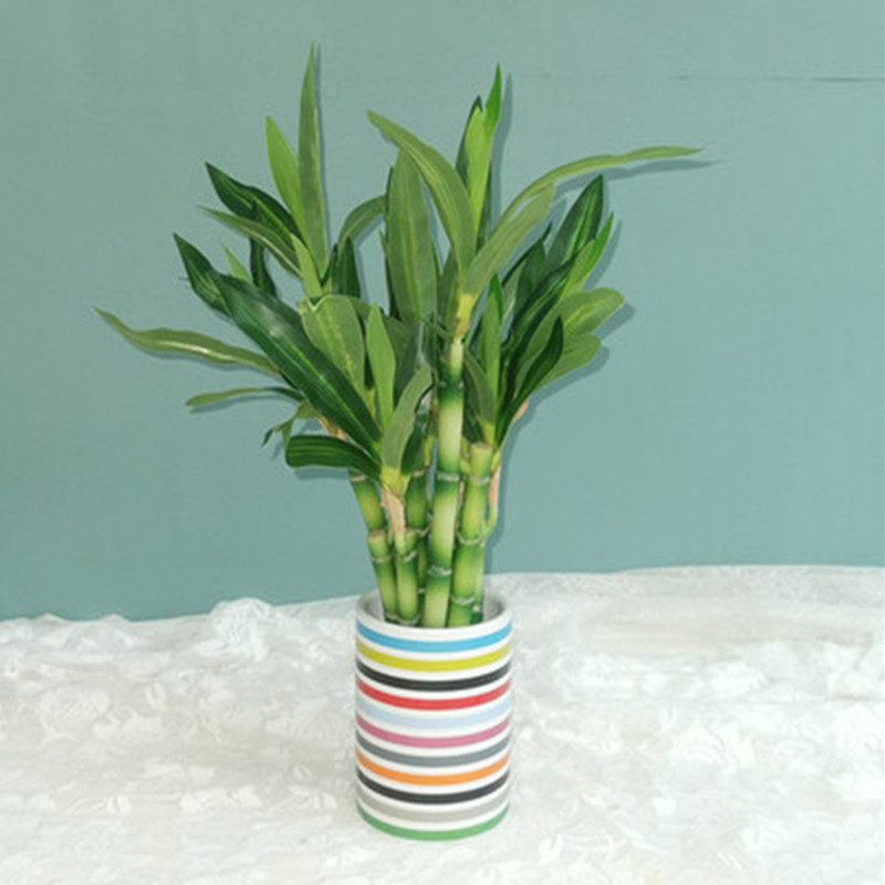 New 40cm Artificial Lucky Bamb - Aquarium Fish Land recension och pris
