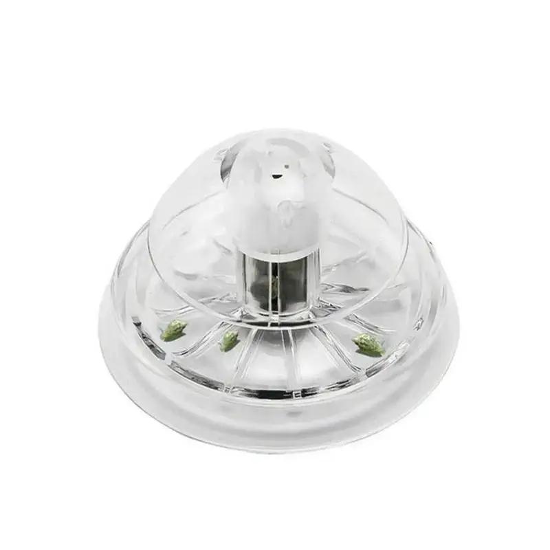 2026 New 6/8CM Clear Plastic S - Aquarium Fish Land recension och pris