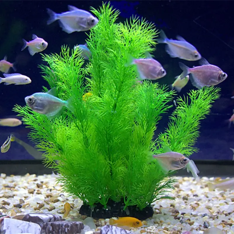 Artificial Aquarium Decor Plan - Aquarium Fish Hideout recension och pris