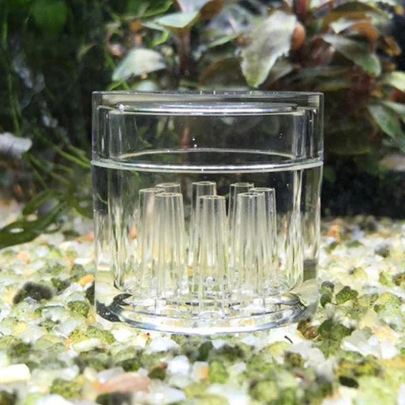 High Transparent  Aquarium Fis - Aquarium Fish Eggs recension och pris