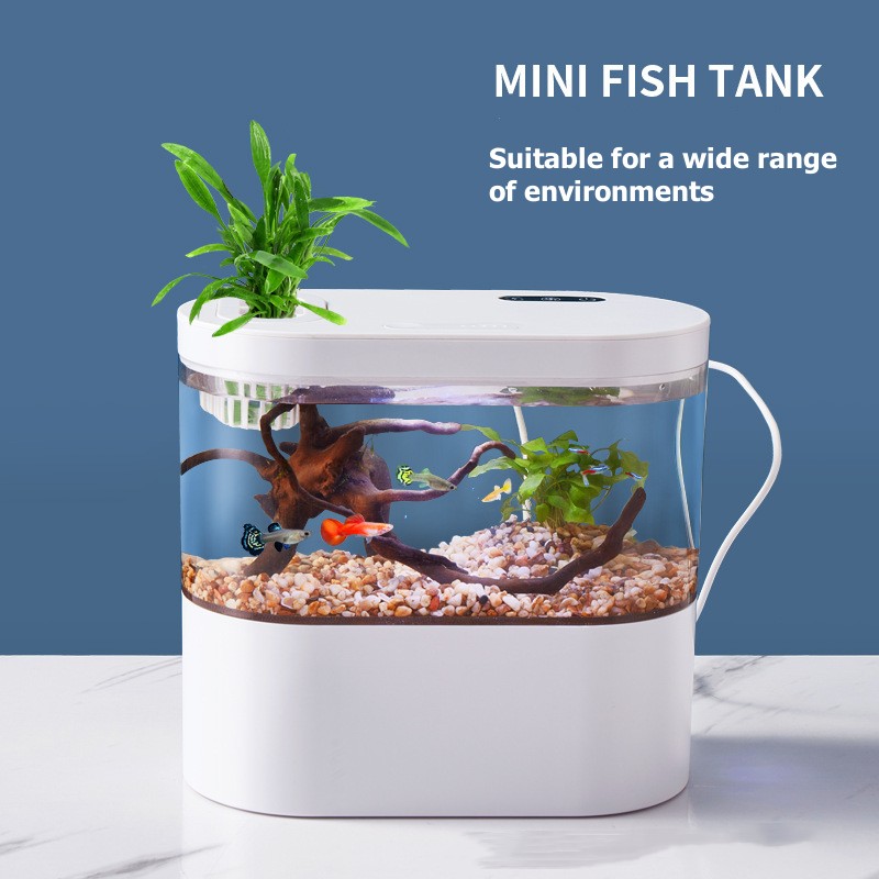 Mini Desktop Aquarium Fish Tan - Aquarium Goldfish recension och pris