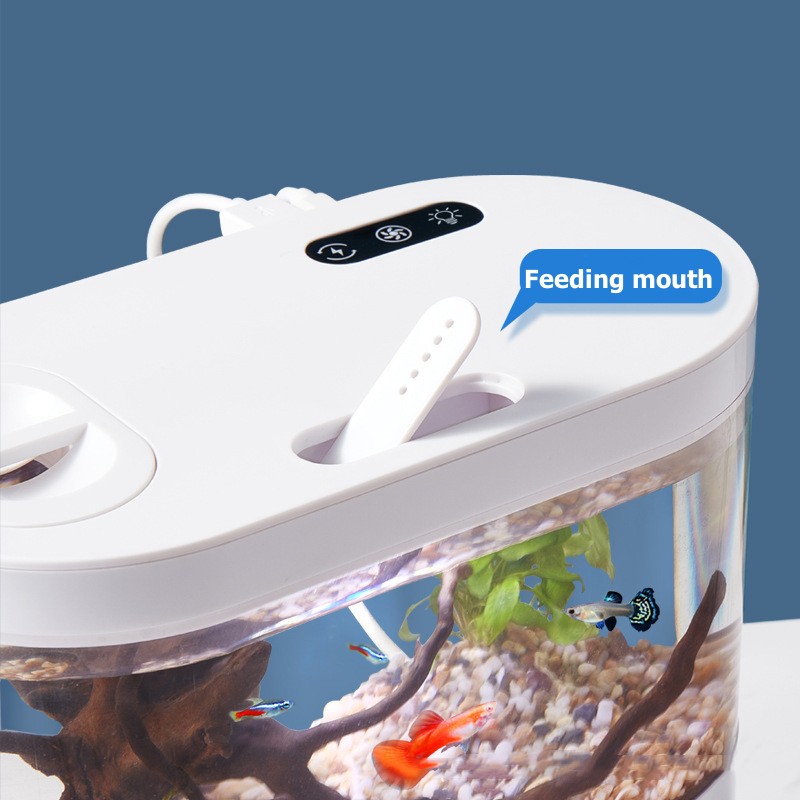 Mini Desktop Aquarium Fish Tan - Aquarium Goldfish recension och pris