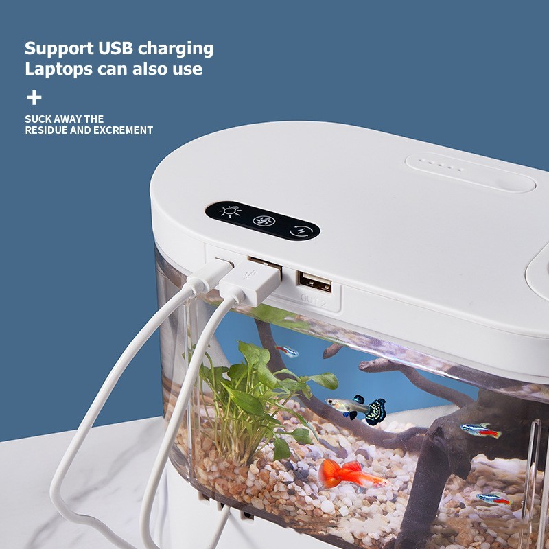 Mini Desktop Aquarium Fish Tan - Aquarium Goldfish recension och pris