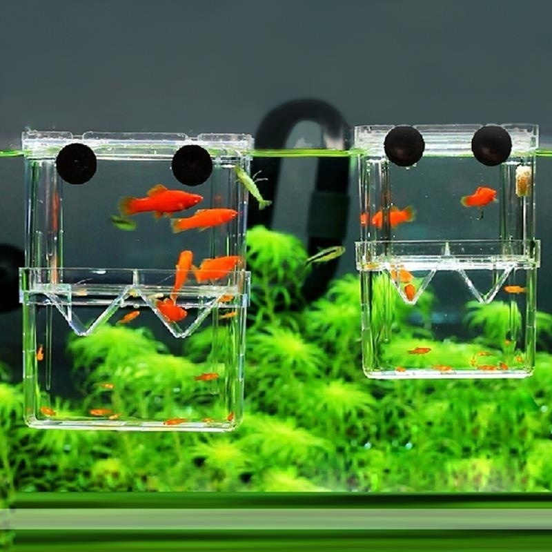 Multifunctional Fish Aquarium  - Aquarium Fish Cave recension och pris