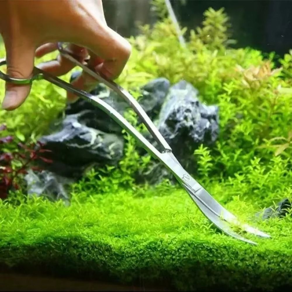 1Pcs Stainless Steel Aquarium  - Aquarium Fish Maintenance recension och pris