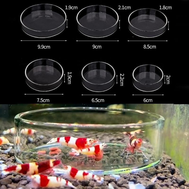 Shrimp Feeding Dish High Trans - Aquarium Fish Eggs recension och pris