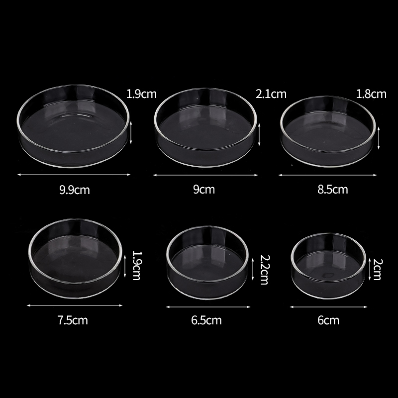 Shrimp Feeding Dish High Trans - Aquarium Fish Eggs recension och pris