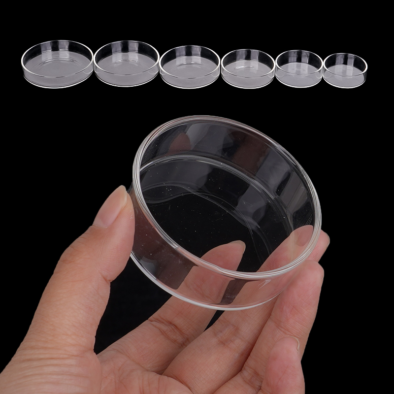 Shrimp Feeding Dish High Trans - Aquarium Fish Eggs recension och pris