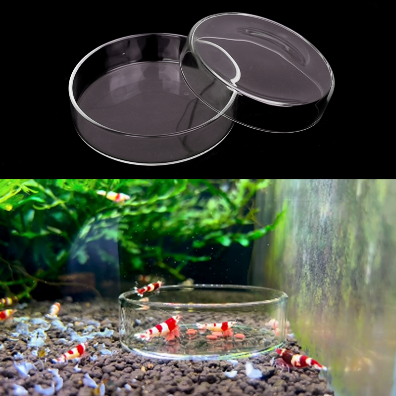 Shrimp Feeding Dish High Trans - Aquarium Fish Eggs recension och pris