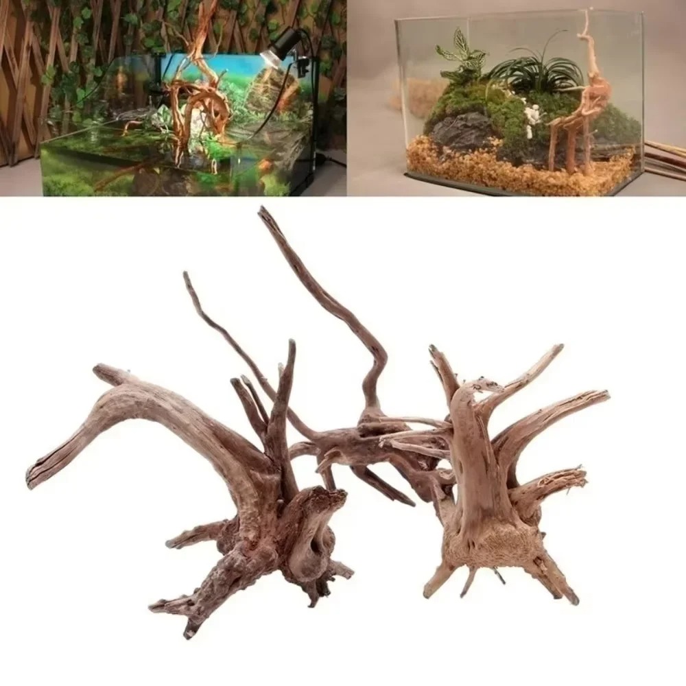 （15-20cm） Natural Driftwood Aq - Aquarium Fish Land recension och pris