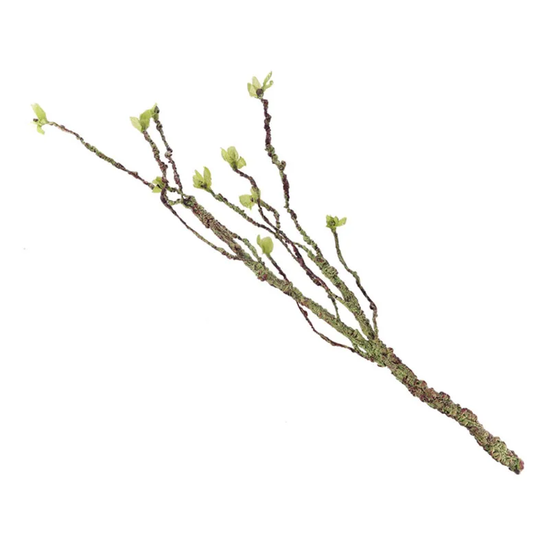 Vines Decor Climbing Branches  - Aquarium Fish Land recension och pris