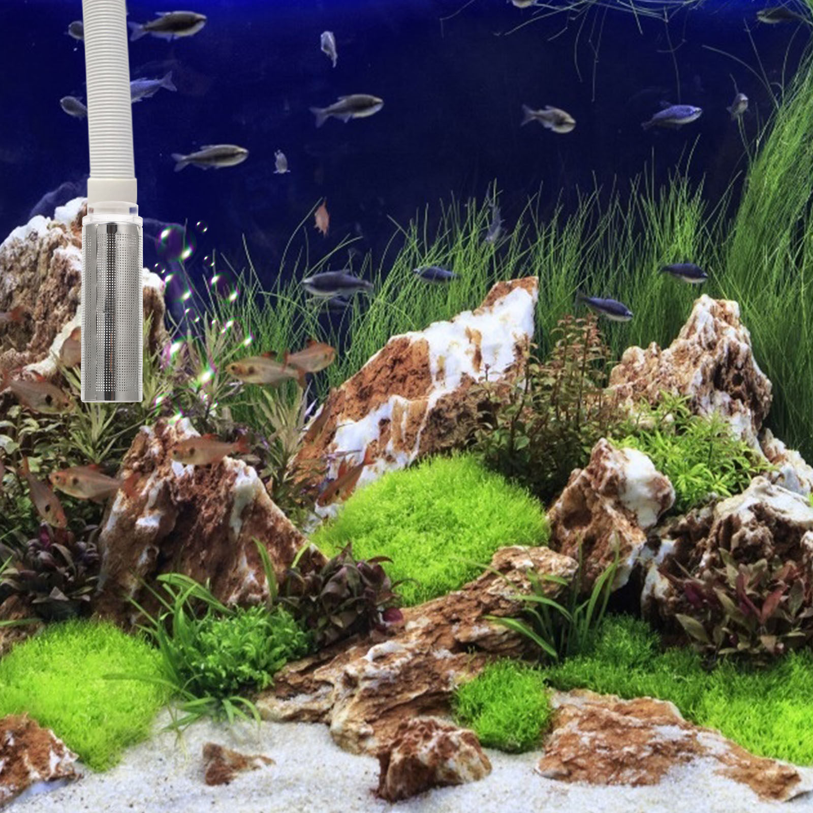 1Pcs Stainless Steel Acrylic A - Aquarium Fish Net recension och pris